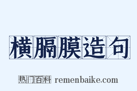 横膈膜造句是什么意思的图片